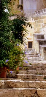 Rustic stone stairway with greenery and vintage charm.