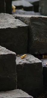 Rustic stone texture with earthy tones and weathered rocks.