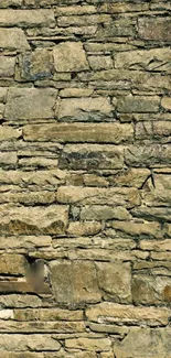 Close-up of a rustic stone wall background with earthy tones.