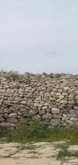 Rustic stone wall with natural textures in a serene outdoor setting.