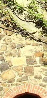 Rustic stone wall with leafy branch shadows and brick arch.