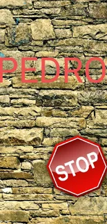 Rustic stone wall with red STOP sign and textured design.