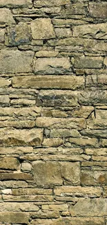 Rustic stone wall texture in olive green shades.