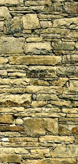 Textured rustic stone wall wallpaper with earthy tones and natural appeal.