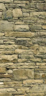 Rustic stone wall texture for mobile wallpaper.