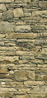 Rustic stone wall texture in olive tones.