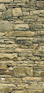 Mobile wallpaper of a rustic stone wall texture with earthy tones.