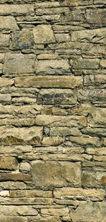 Rustic beige stone wall, perfect for a natural mobile wallpaper.