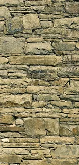 Rustic stone wall wallpaper with earthy textures and natural colors.