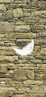 Rustic stone wall with a white feather accent