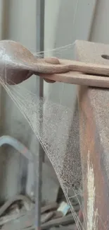 A rusted tool with cobweb detail on weathered metal.