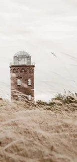 Rustic tower in a misty field landscape wallpaper.