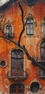 Rustic building with tree silhouette.