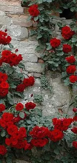 Mobile wallpaper of red roses on a rustic brick wall.