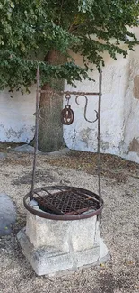 Rustic well with greenery and stone base in a serene garden setting.