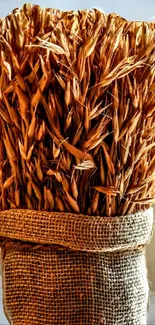 Rustic wheat bundle wrapped in burlap on display.