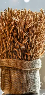 Rustic wallpaper of a wheat bundle wrapped in burlap with beige tones.