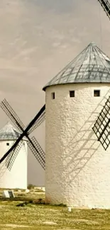 Serene landscape with rustic windmills under a clear sky.