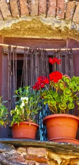 Rustic window with vibrant potted flowers.