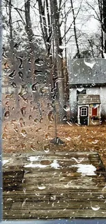 Rustic backyard scene through a window with trees, deck, and shed.