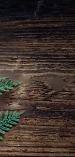 Green fern leaves on a rustic wooden background wallpaper.