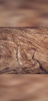 Close-up of rustic wood grain texture with earthy tones.