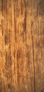 Rustic wood texture mobile wallpaper with earthy brown tones.