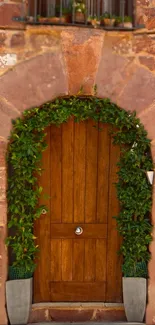 Rustic wooden door surrounded by green vines.