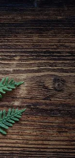 Rustic wooden background with a green fern leaf overlay.