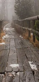 Rustic wooden pathway through foggy forest with railings and trees.