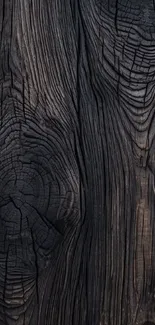 Close-up of rustic wooden texture with dark grain patterns.