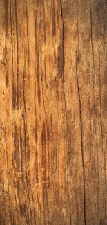 Rustic wooden texture wallpaper with warm brown tones.