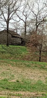 Rustic farmhouse surrounded by trees and greenery in springtime.