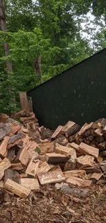 Woodpile against a lush green forest backdrop in a rustic scene.