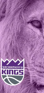 Sacramento Kings lion themed purple wallpaper for mobile