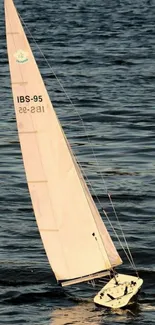 Sailboat gliding on tranquil dark blue water.