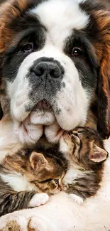 Saint Bernard dog cuddling with kittens in a natural outdoor setting.