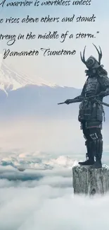 Samurai stands on a misty mountain peak overlooking clouds and a distant mountain.