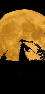 Samurai silhouette with full moon in background, creating an enchanting night scene.