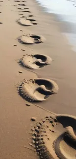 Footprints on sandy beach with gentle ocean waves.