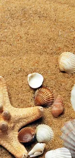 Serene sandy beach with scattered seashells, perfect for mobile wallpaper.