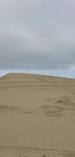 Expansive sandy dune under a gray sky.