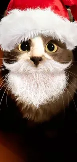 Cute cat in Santa hat and beard, festive wallpaper.