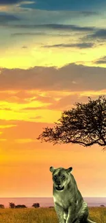 Lioness under vibrant savannah sunset sky, silhouetted by trees.