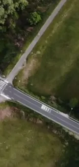 Aerial view of a road splitting lush green fields and dense forest.