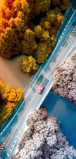 Aerial view of autumn trees with a bridge crossing.