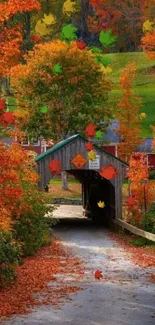 Picturesque autumn bridge surrounded by colorful foliage.