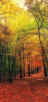 Vibrant autumn forest path with colorful leaves and trees.