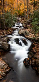 Stream through autumn forest with vibrant orange foliage.