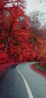 Winding road through a vibrant red autumn forest.